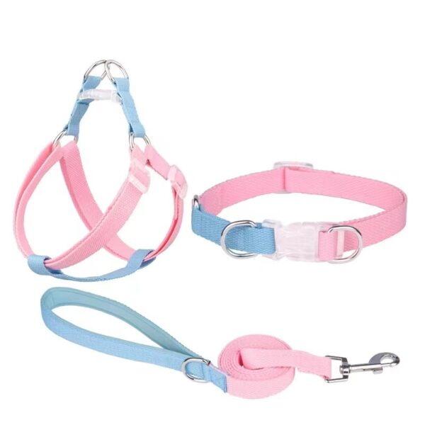 Dual dog collar