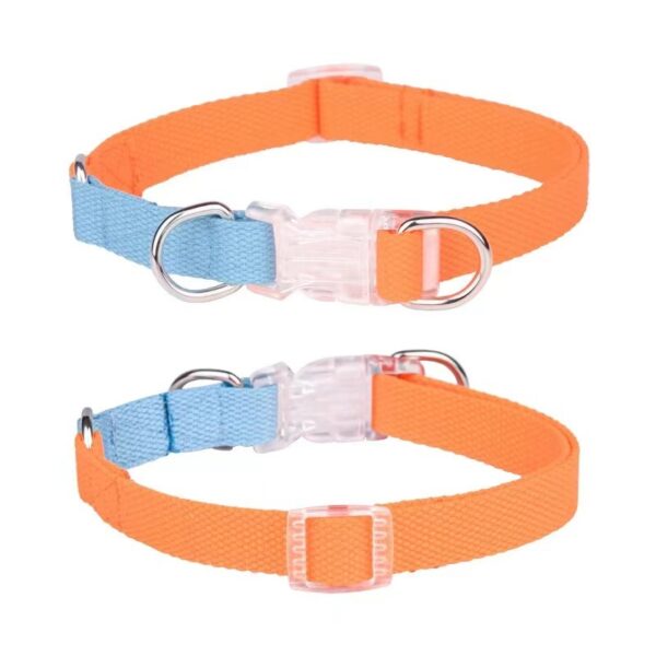 Dual dog collar