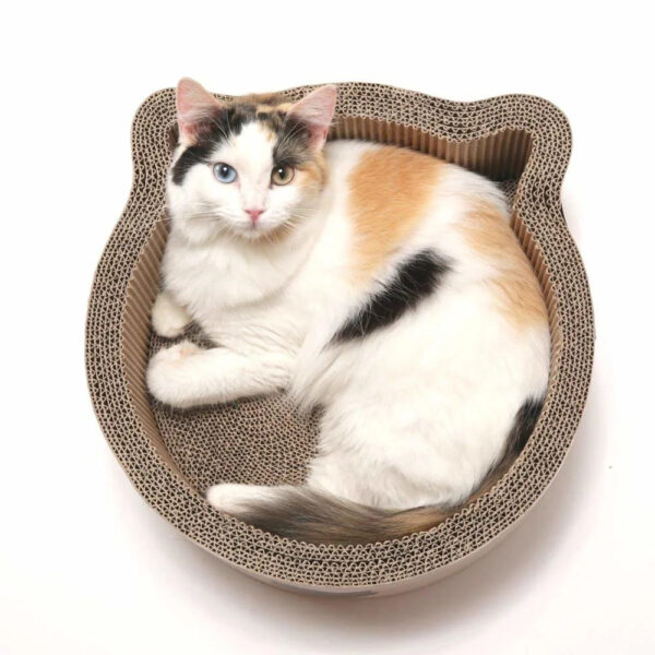 2-in-1 Cat Scratcher and Bed