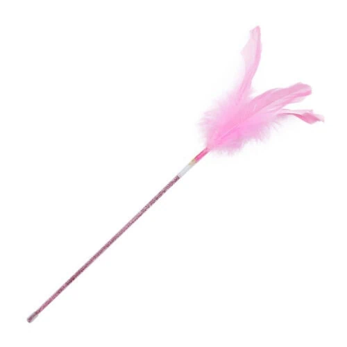 Cat toys