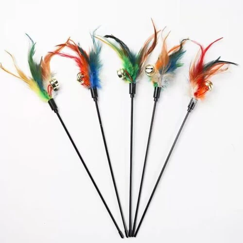 Cat toys