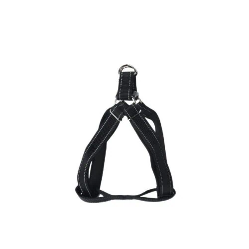 Dog lead collar & harness