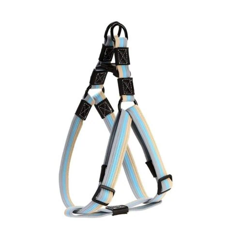 Dog lead collar & harness