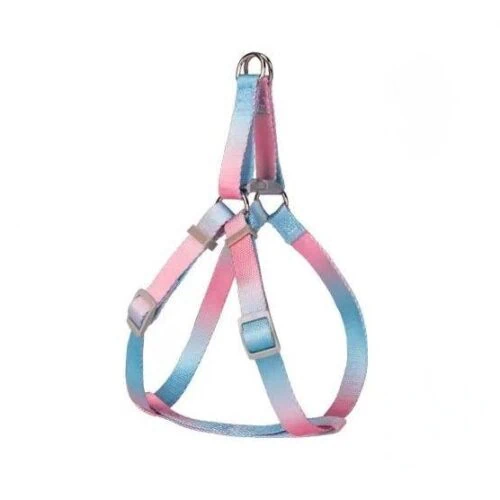 Dog lead collar & harness