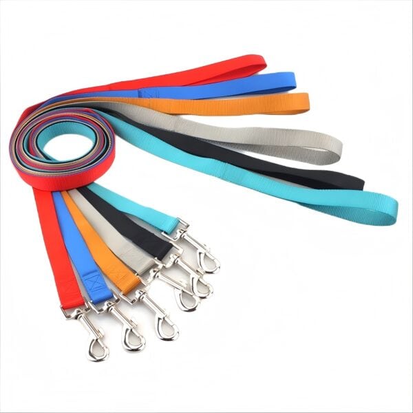 Plain color dog leash