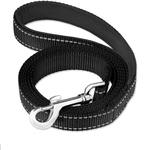 Reflective dog collar