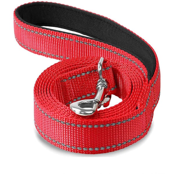 Reflective dog collar