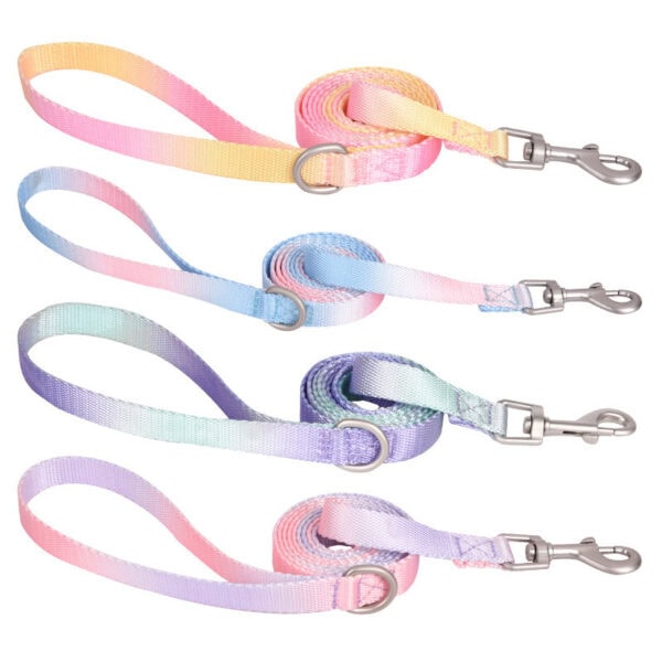 Gradient color dog collar