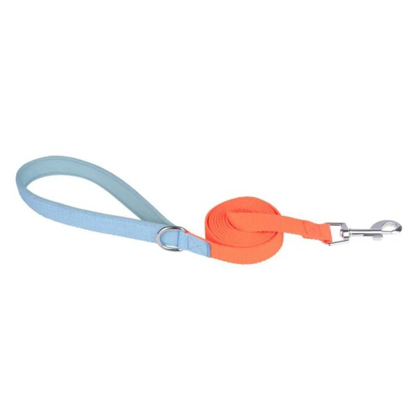Dual dog collar