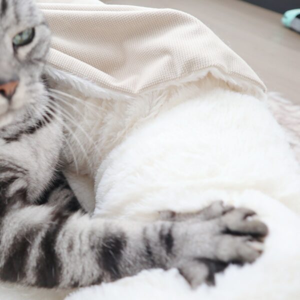 Canvas & Sherpa Hooded Doughnut Bed