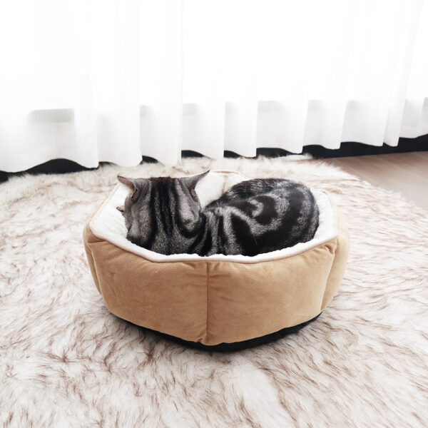 Hexagonal Sherpa Corduroy Bolster Bed