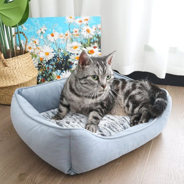 Printed Cushion Rectangular Bolster Bed