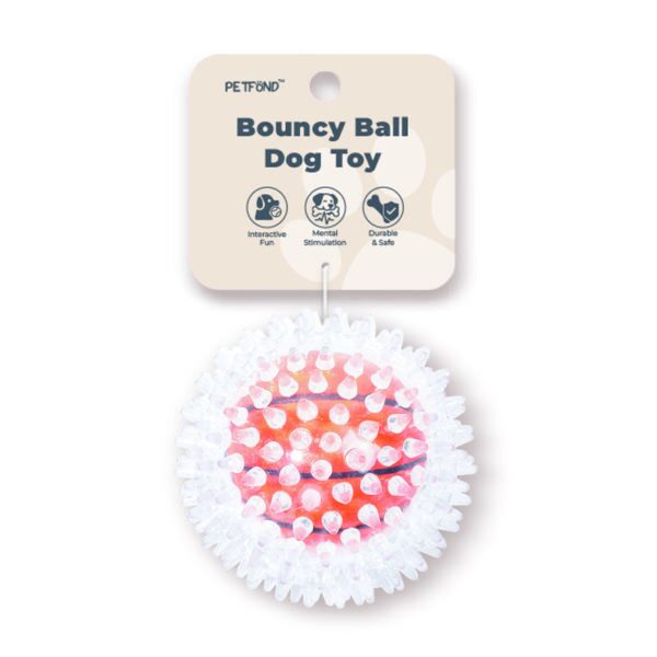 Spiky TPR Squeaky Ball for Dogs – Assorted Colors