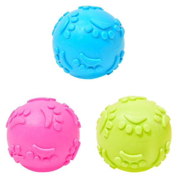 TPR Textured Squeaky Ball Dog Toy