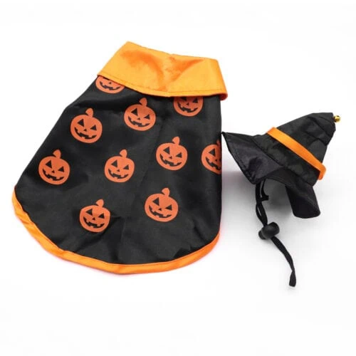 Products Halloween pet costume
