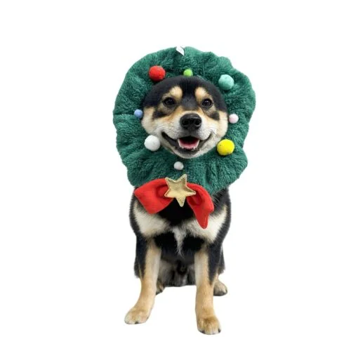 Christmas dog collar