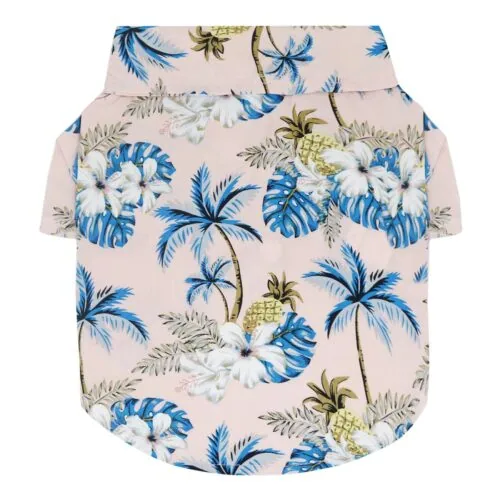 Products tropical dog clothing