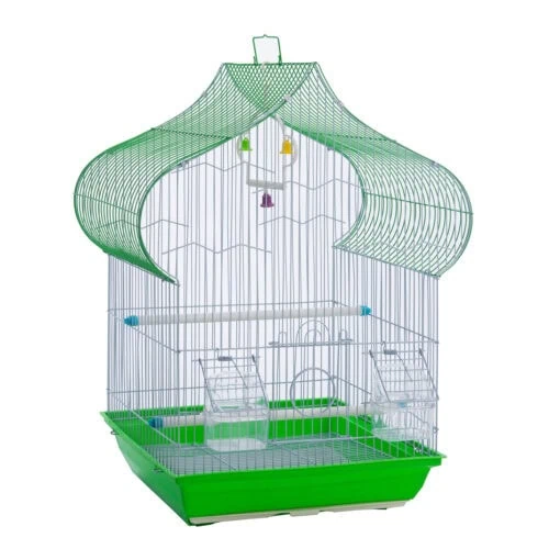Bird cage bird cage